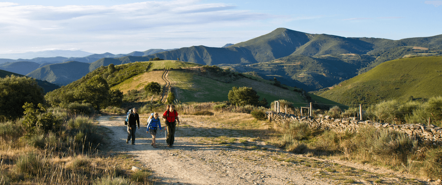 Camino Francés